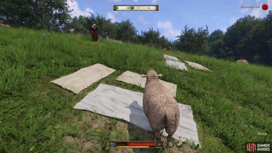 With Alshik out of the picture you can drive the Tachovite&rsquo;s sheep over their laundry,