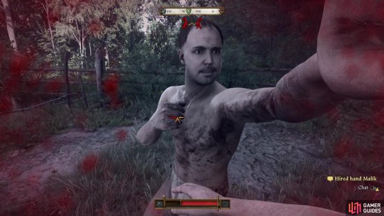 Malik is a much more formidable foe than Hensel - manage your stamina (unlike in this screenshot) and perfect block and counter and you&rsquo;ll be fine.