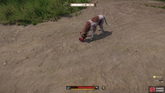 Every time you interact with Mutt, you&rsquo;ll gain Houndmaster EXP - sic him on enemies, then give him a treat,