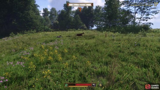 and hunting game.