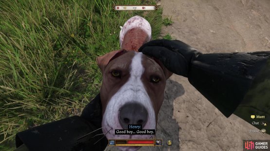 and praise Mutt to raise your Houndmaster skill EXP quickly.
