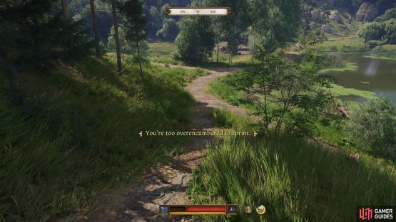 and by walking around when overencumbered. Oddly enough, carrying bodies around does not give you Strength EXP!