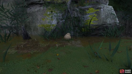 At this location you&rsquo;ll find an urn full of groschen along a cliff.
