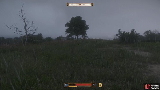 Head over to this tree which is located to the east of Pschitoky