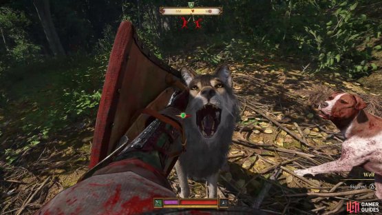 Parry the wolfs attack before attempting to hit it.