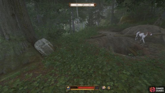 Now, go northeast until you reach the large tree with the stone slab in front of it. The entrance can be found in front of it.