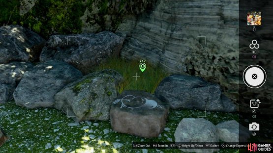 which is where you&rsquo;ll find the rock with the drawing on it, in the corner.