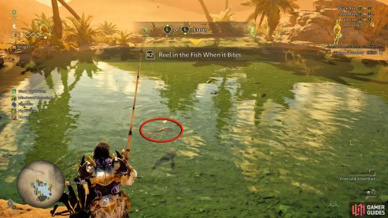 Select the Emerald Jitterbait lure, and look for the large reddish orange fish.