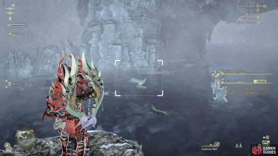 To the right of the Area 8 tent (Scarlet Forest) you can find some Platinum and Golden fish.