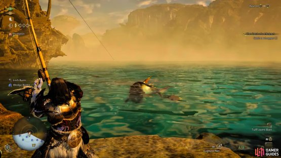 Reel in a large fish to meet the conditions of your quest.