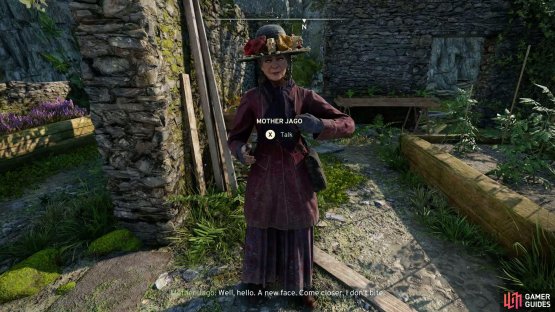 She will tell you to get her book from the druids.