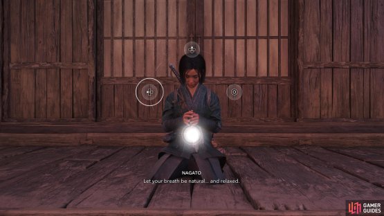 Carefully follow the button sequence to meditate