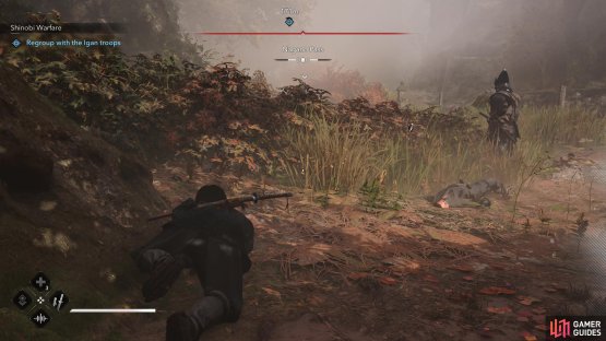 Use the long grass to reach the top of Nagano Pass undetected.
