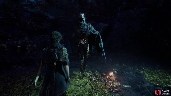 Clear the Flying Waters dungeon and the Curator will show up at your camp,