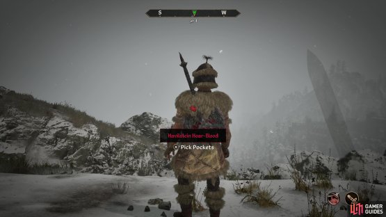 Head to Gnoll Mountain and defeat Havilstein,