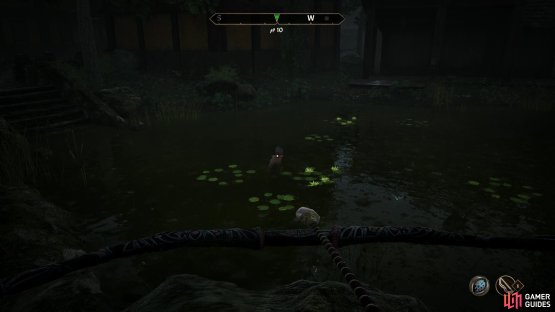 Assassinate Phillida by any means you wish - the easiest is to shoot him with the Rose of Sithis while he swims,