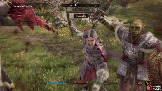 Marauders are heavily armored hostiles you can find in and around various dungeons.