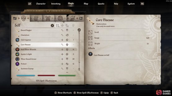 A Cure Disease scroll can help you prevent this condition.
