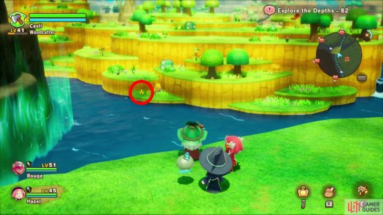 Search the shore northeast of the castle to find this Leafe.
