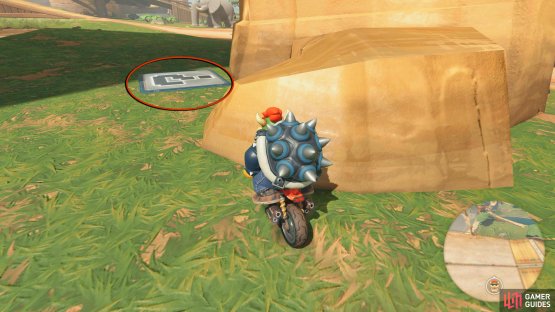 The panel will be behind a small rock on the grass to the left of the track.