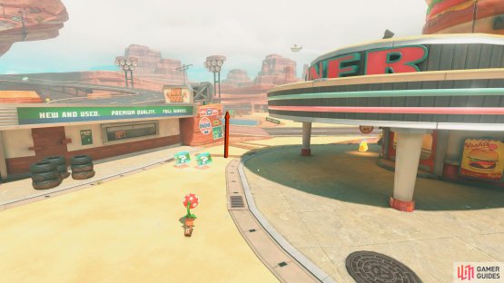 Follow the road between Luigi&rsquo;s Tires and the Diner and look straight ahead for a green container.