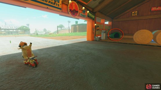 Enter the barn to the left of the starting flag and then go through the warp pipe to the left of the entrance.
