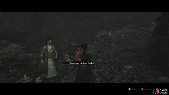Exhaust his dialogue and hand over the Lost Package you got earlier.