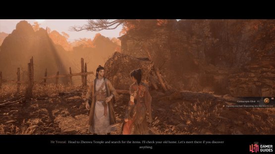 Exhaust their dialogue for an item and to progress the quest.