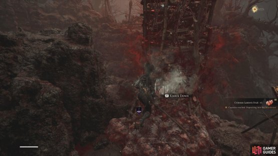 At the top of Doomwillow Beach, you&rsquo;ll find a bridge you can knock down.
