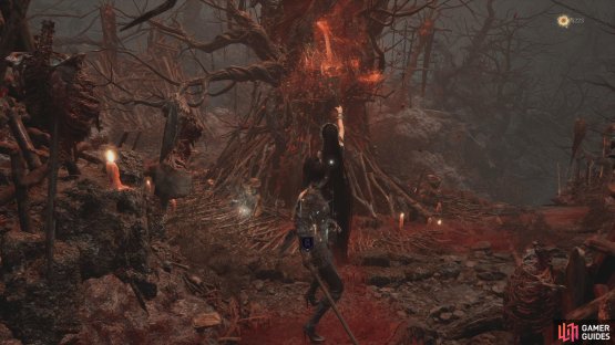 On the other side, you&rsquo;ll find the Red-Clad Lady. 