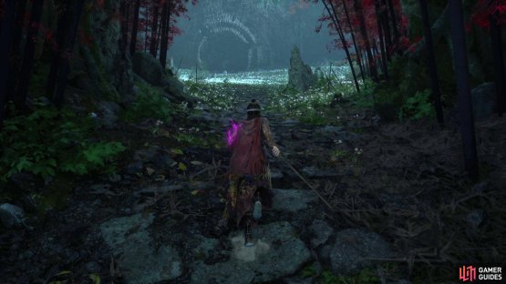 Make your way to the Tomb area from the Avian Dwelling shrine.