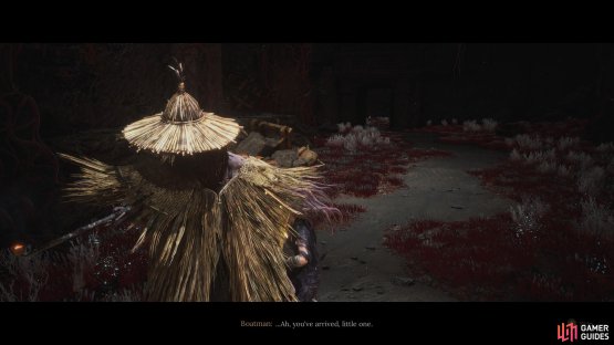 Take the riddle door and choose Grand Dream Fades to meet with the Boatman for the final time.