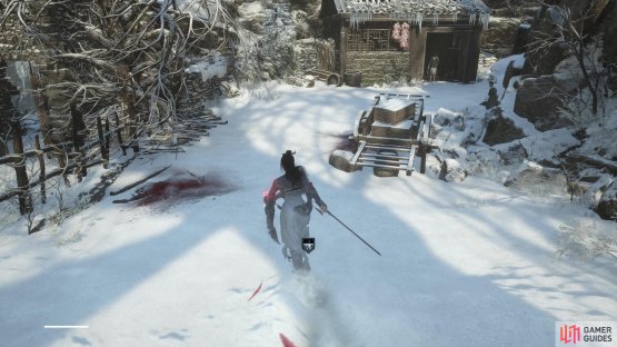 Enter Cloudspire Outskirts via the Snowy Passage Shrine and then go left when you can.