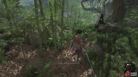 You&rsquo;ll find the Red-Clad Lady sitting on a rock at the bottom of Buddha Cliffs.