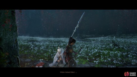 You next find the White-Robed Elder in the Tomb area, which will later have an impact relating to later act story choices. Image via Gamer Guides / 505 Games.