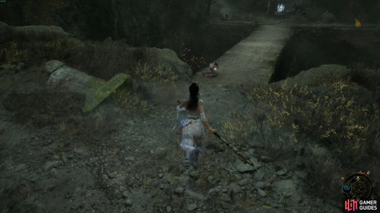 If you discarded it, then she appears in Chapter3, and not next to the Hillswatch shrine as you first load into the area. Image via Gamer Guides / 505 Games.