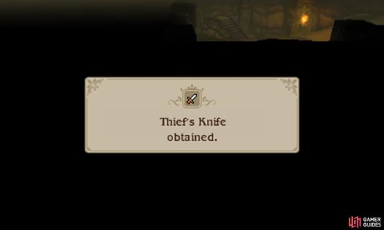 If you have the Thief&rsquo;s Knife equipped, you can use it in battle via the Item command to steal items from enemies AND do damage.