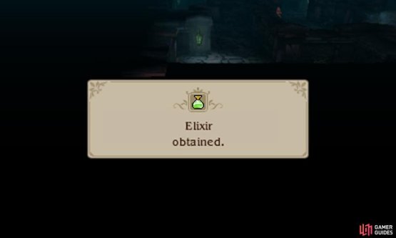 Just a heads up: we recommend hanging onto a couple of Elixirs, so you can defeat a future boss with great ease.