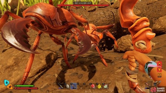 Be careful when you take a fight with a Red Soldier Ant, as the nearby Ants will join in.