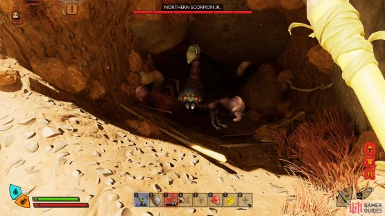 In Pine Hills, check the cave tunnels to find them.
