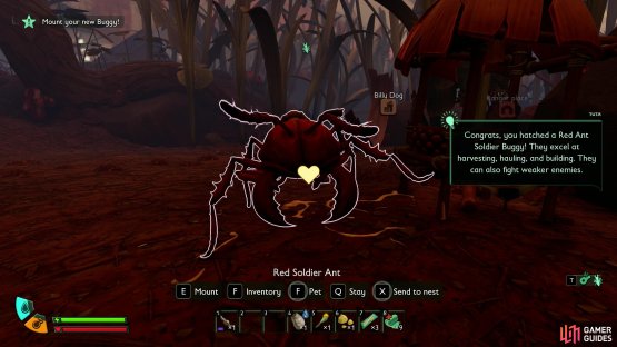 Return it your your Hatchery in Grounded 2, and then wait 12 hours for it to hatch into your new friend. Image via Gamer Guides / Obsidian.