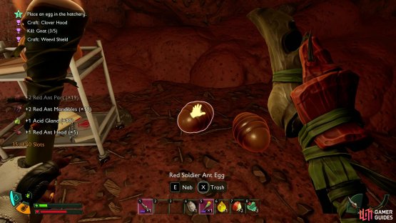 Explore the Southern Anthill and grab the Red Soldier Ant Egg. Image via Gamer Guides / Obsidian.
