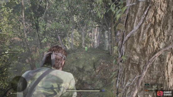 Climb the tree on the one path in Dremuchij North to get a clear shot on Kerotan 9.