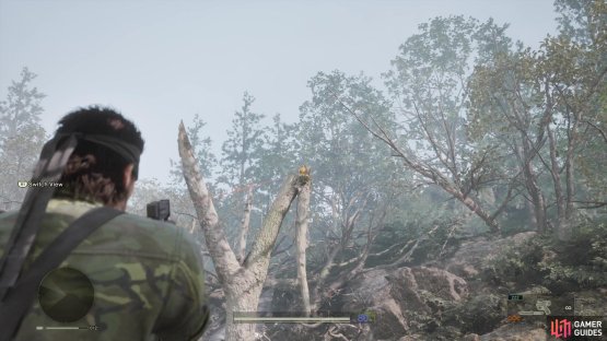 Look on top of the broken tree branch near the crash site for GA-KO 9.