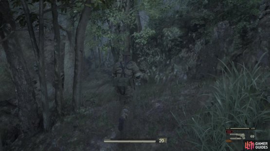 Your Camo Index is shown at the bottom of the screen, next to your health/stamina.