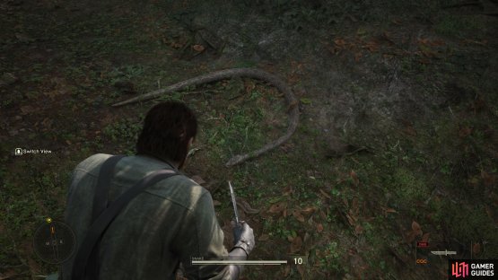 You can first find the Giant Anaconda around the tree you climb in Dremuchij South, during Virtuous Mission.