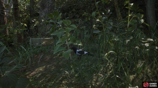 You can find a Magpie as soon as the first screen, during the beginning of the game.