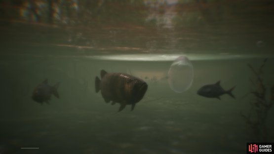 They&rsquo;re pretty close to the surface, too, so they&rsquo;re easy pickings.