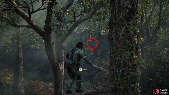 From the exit to the Ponizovje Warehouse area, head northeast and climb a tree, then look into the forested ledge to the northeast to spot this well-hidden GA-KO.