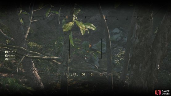A clearer view of this GA-KO through the binoculars.